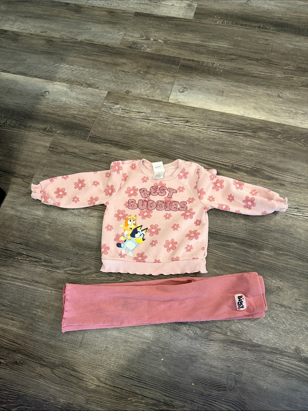 Bluey Pink Floral Disney Sweatshirt